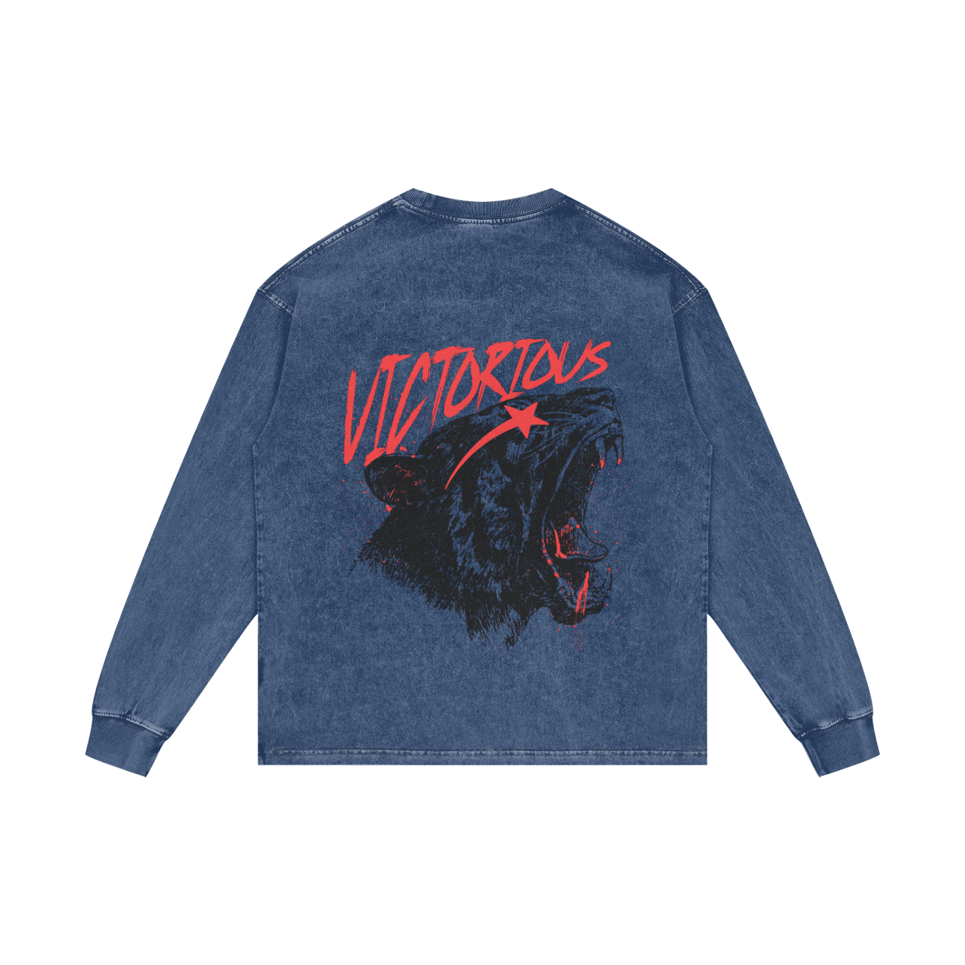 Victorious Long Sleeve T-Shirt